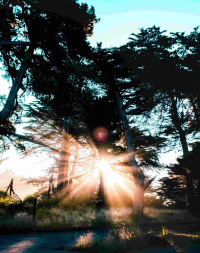 5 Steps to a Healthy Morning Routine