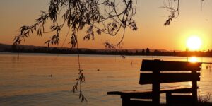 Can a Grief Counselor in Carlsbad, California Really Help? 3