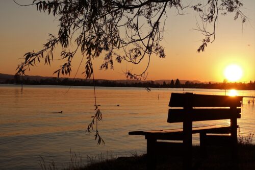 Can a Grief Counselor in Carlsbad, California Really Help?
