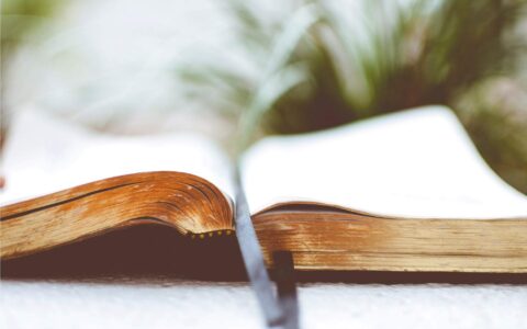 header-image