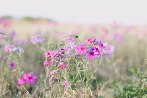 Hope and Help for the Struggle of Infertility 1