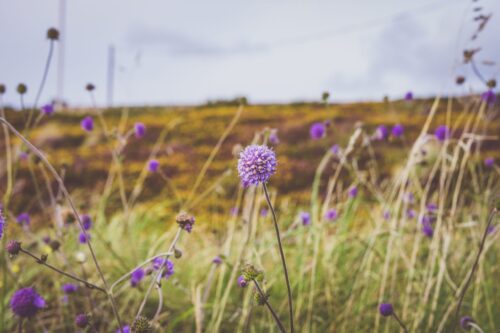 Hope and Help for the Struggle of Infertility