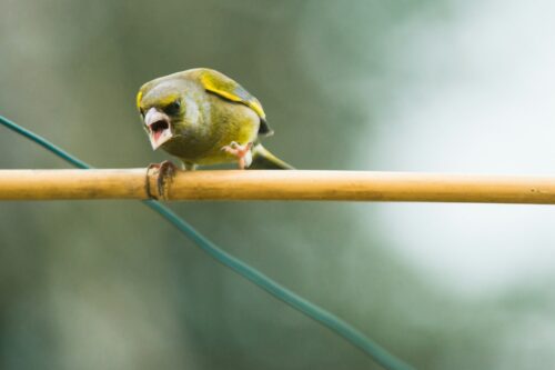 How to Control Angry Outbursts and Express Anger Appropriately