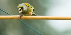 How to Control Angry Outbursts and Express Anger Appropriately 1