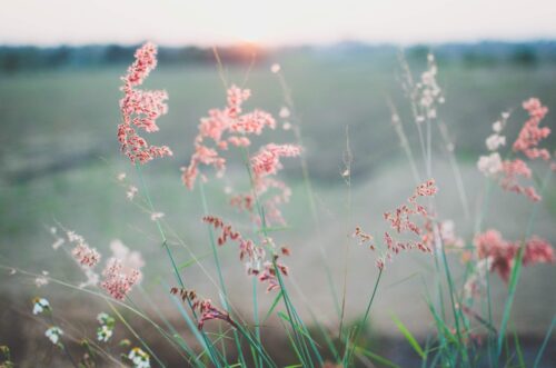Worry and Anxiety: Becoming the Captor, Not the Captive 2