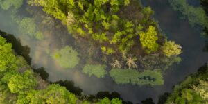 OCD Help: Overcoming the Need for Constant Reassurance 1