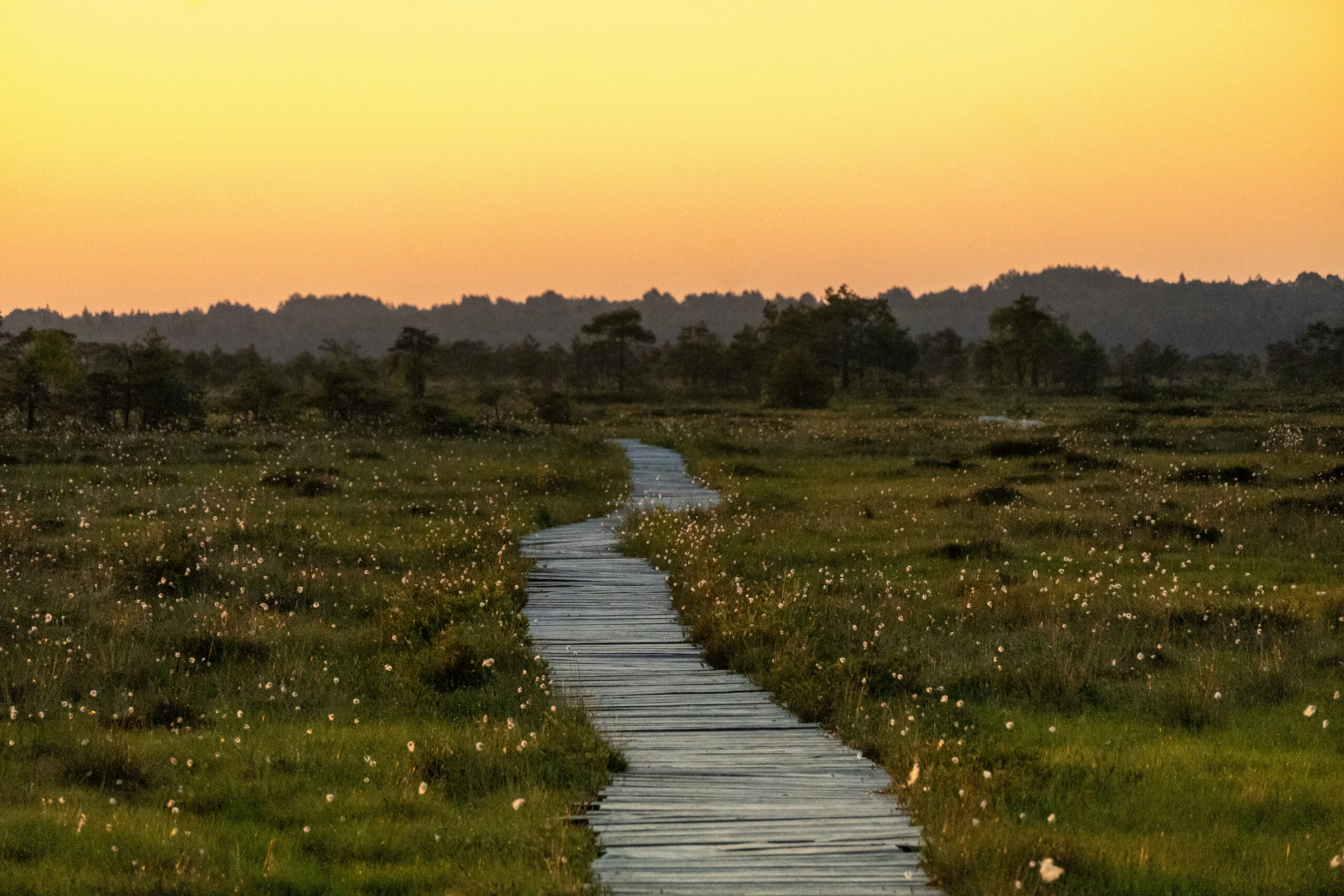 How to Nurture Your Emotional Wellbeing